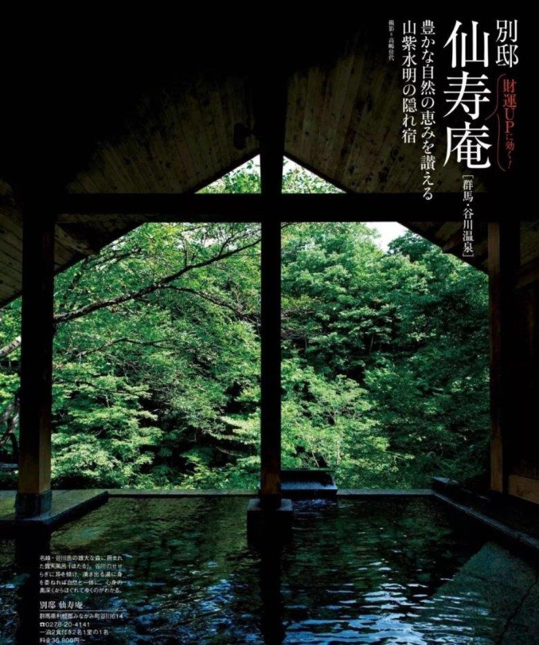 植物大战僵尸4