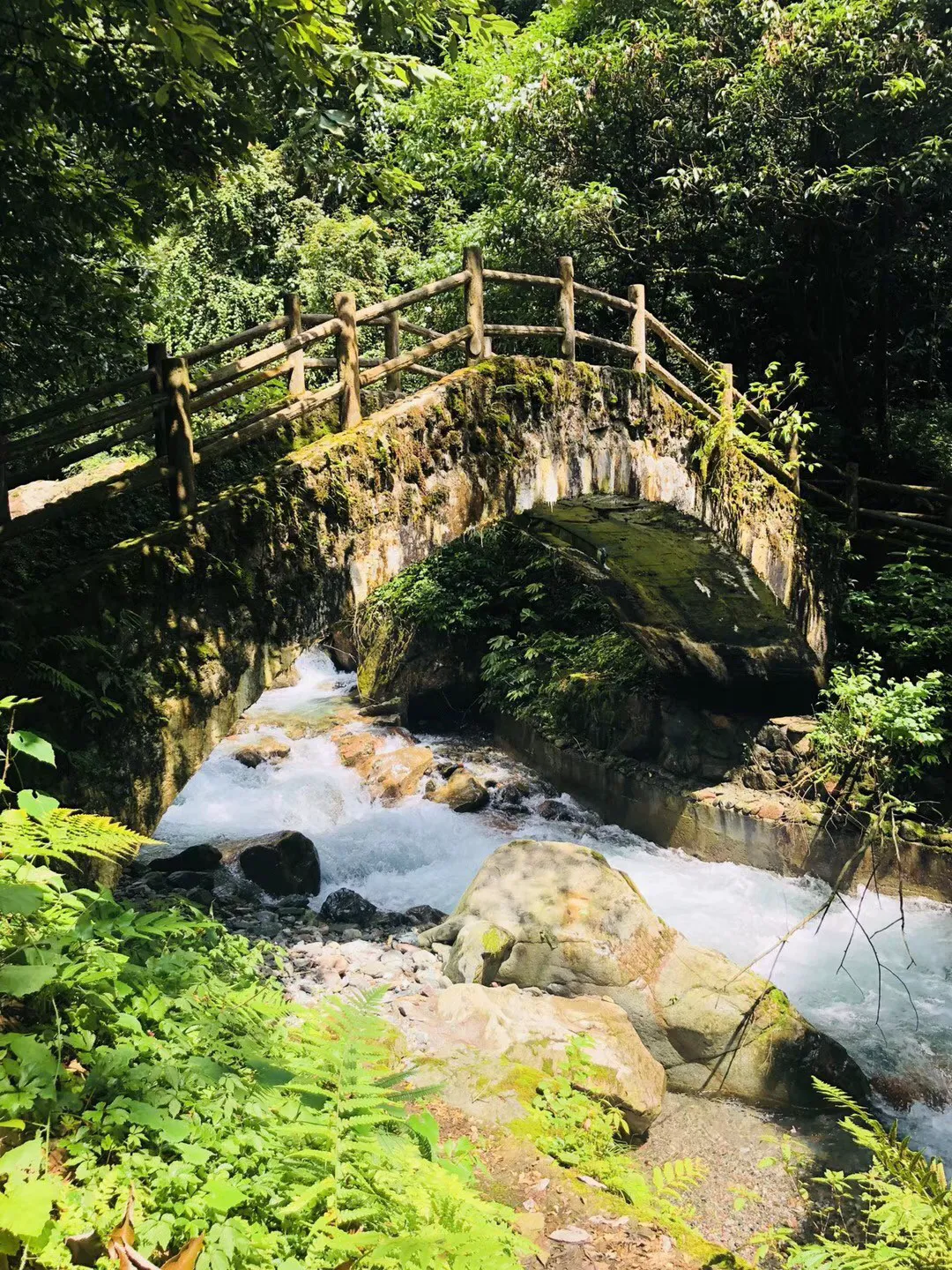 救援臭美男孩