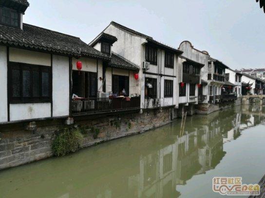 福寿螺是不是不能吃呀？游戏画面